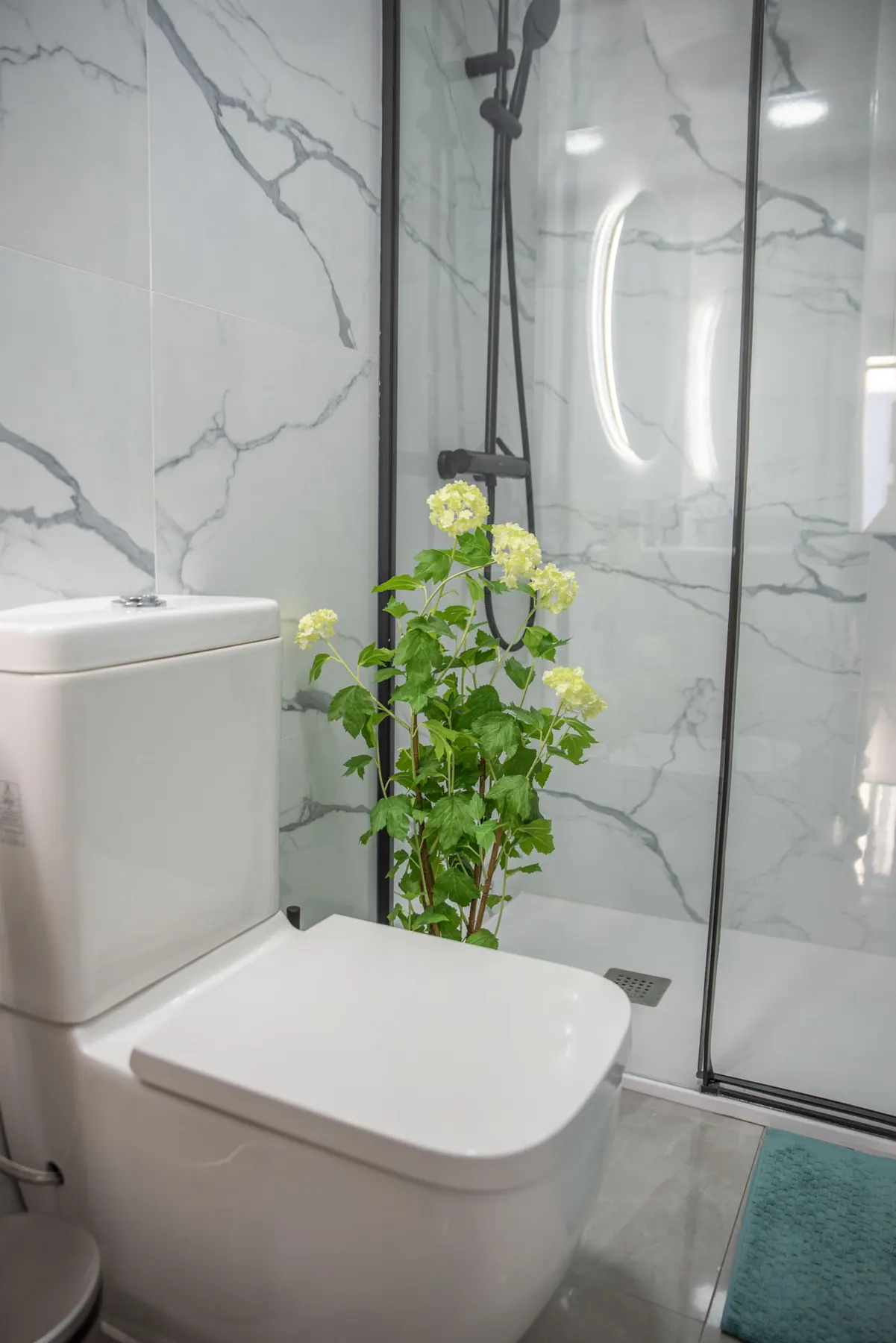 Bathroom in Gran Via