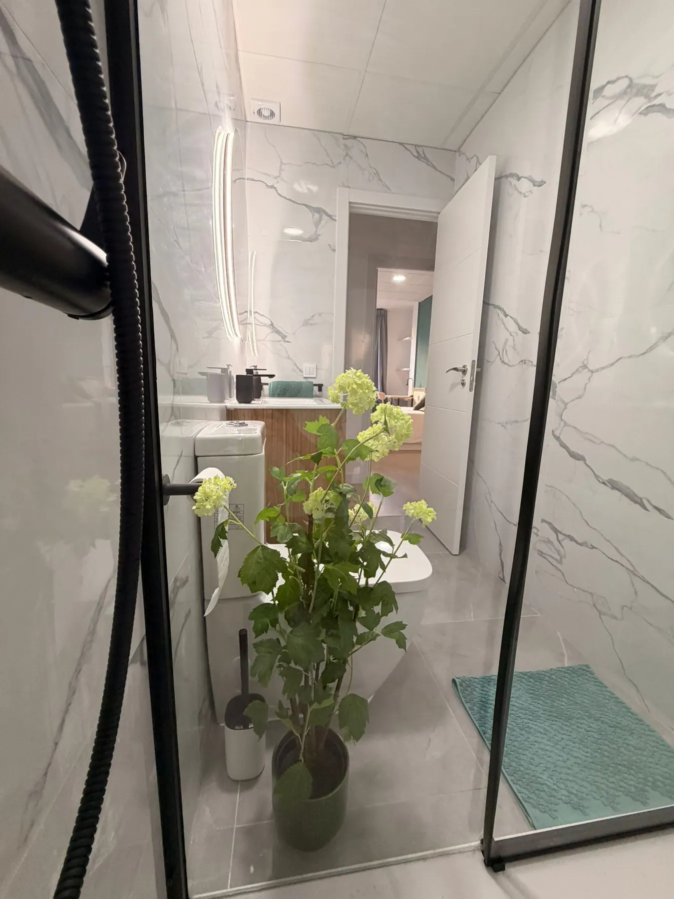 Bathroom in Gran Via