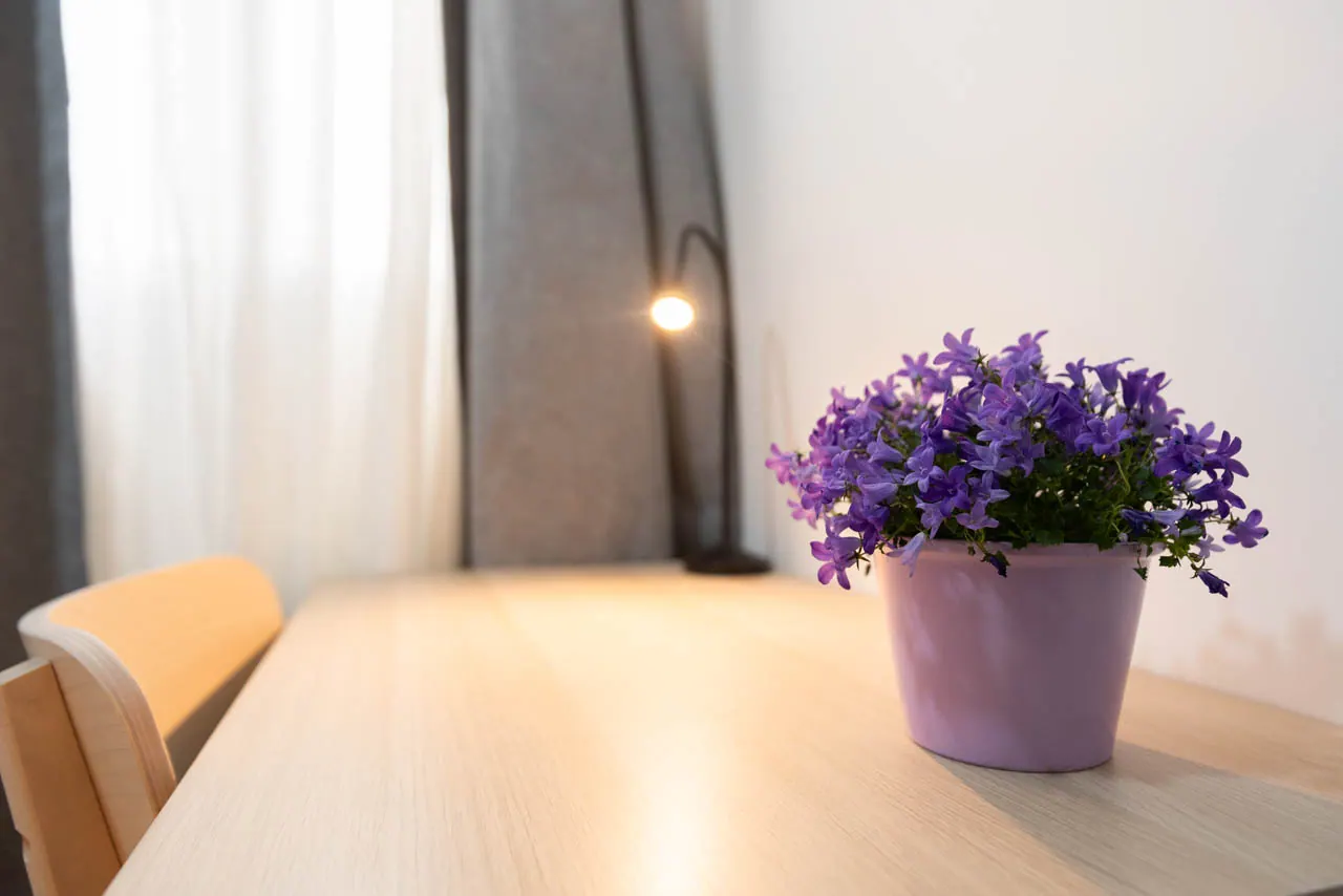 Room 2 in Juanelo
