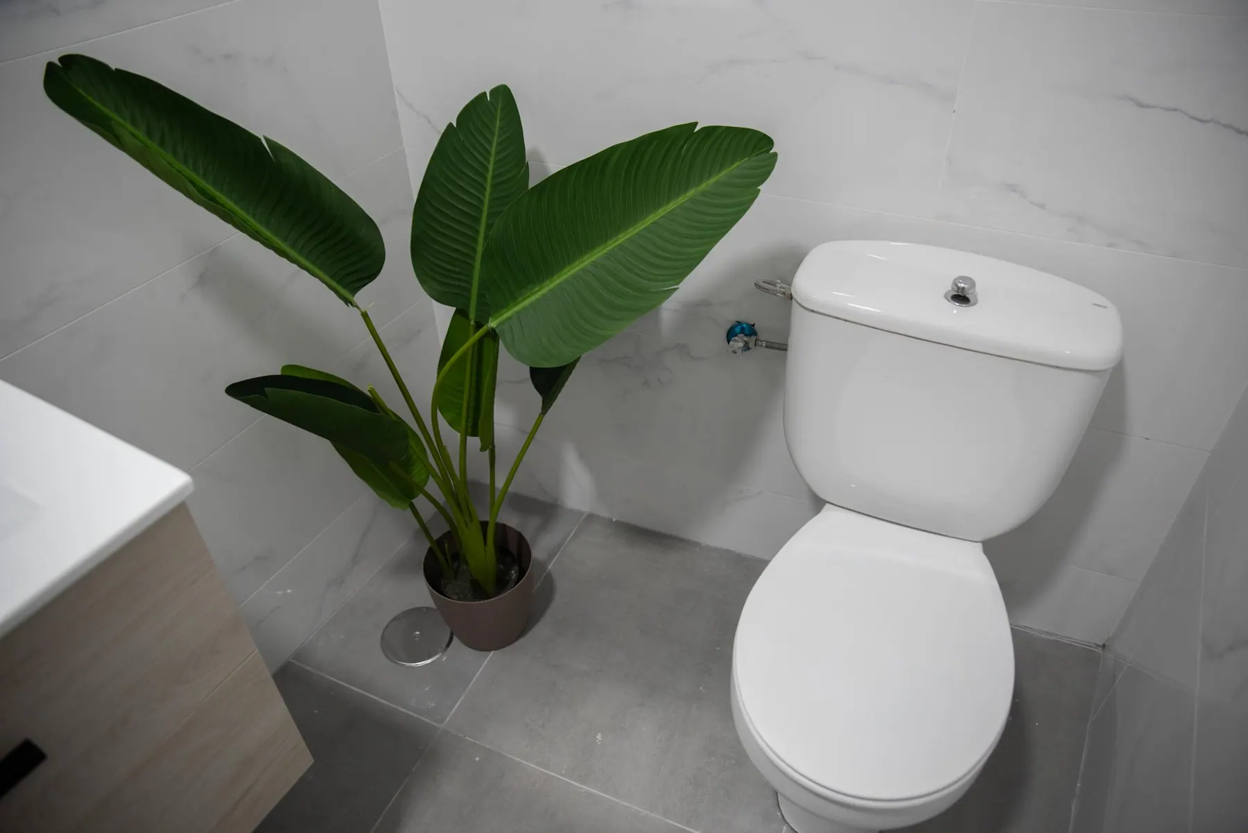 Bathroom in Mayor