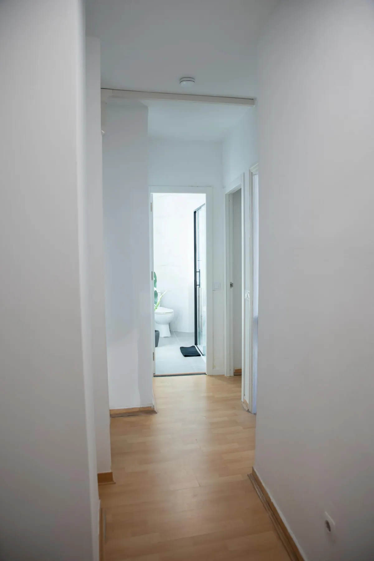 Common area in Mayor