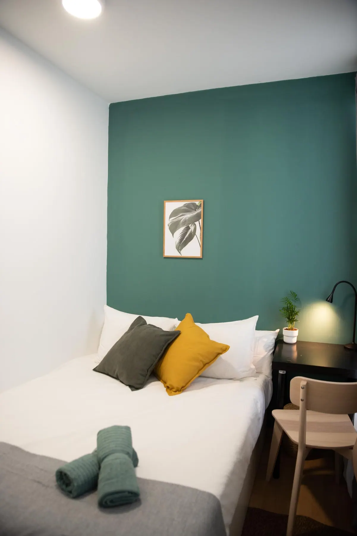 Room 1 in Mayor