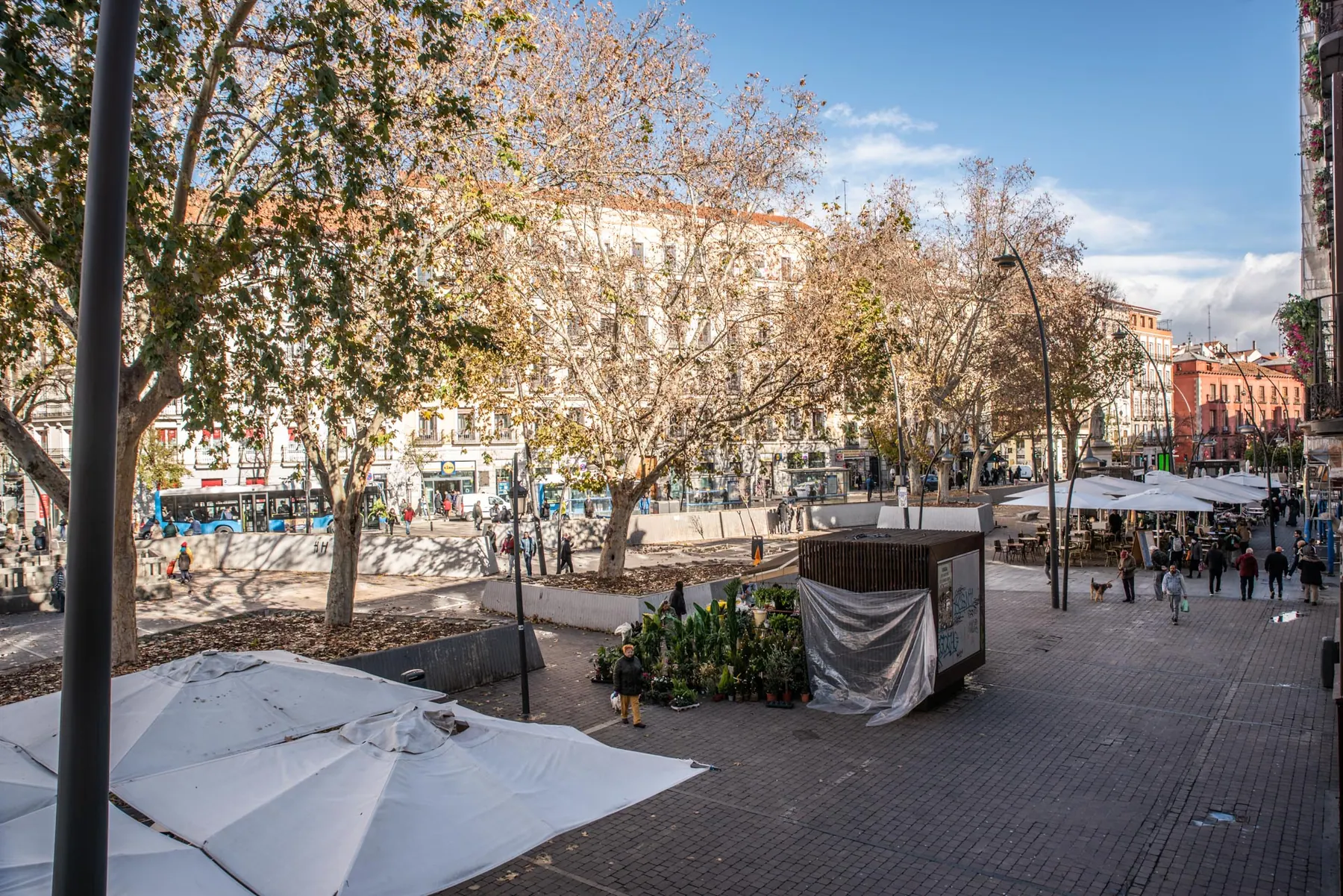 Room R6 in Tirso de Molina
